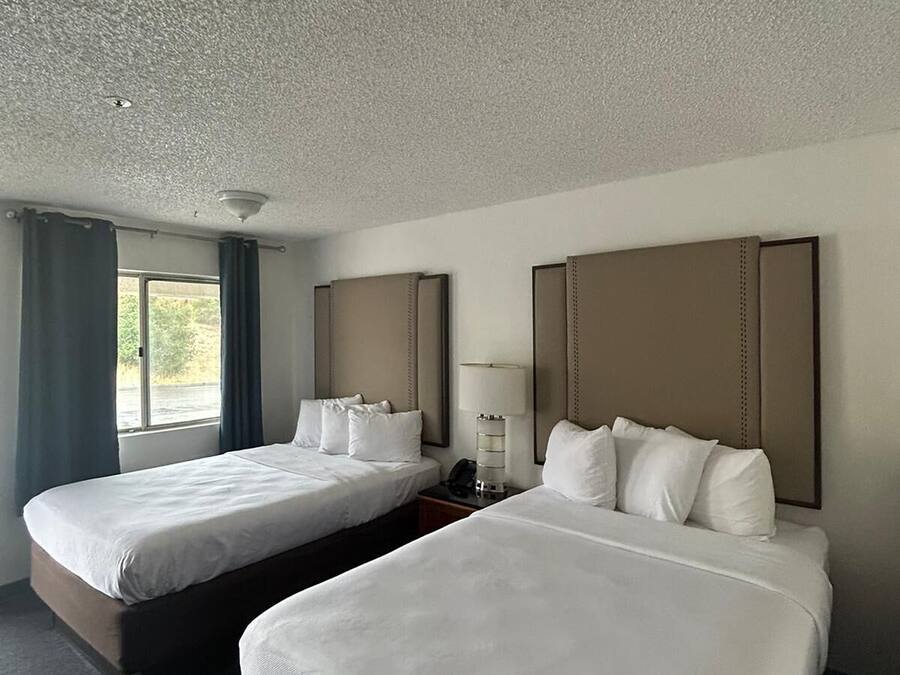 Wifi gratis y ropa de cama