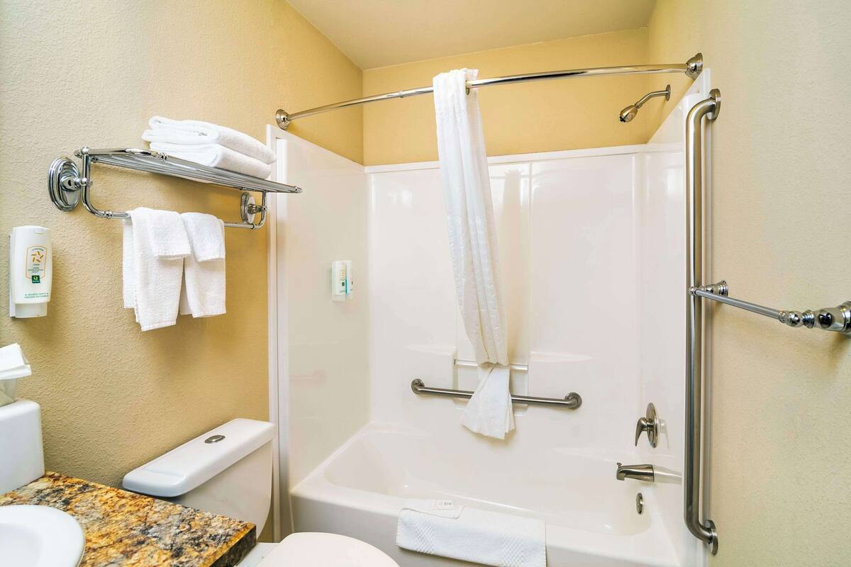 room, 1 queen bed, non smoking (efficiency) | desk, laptop workspace, blackout curtains, iron/ironing board