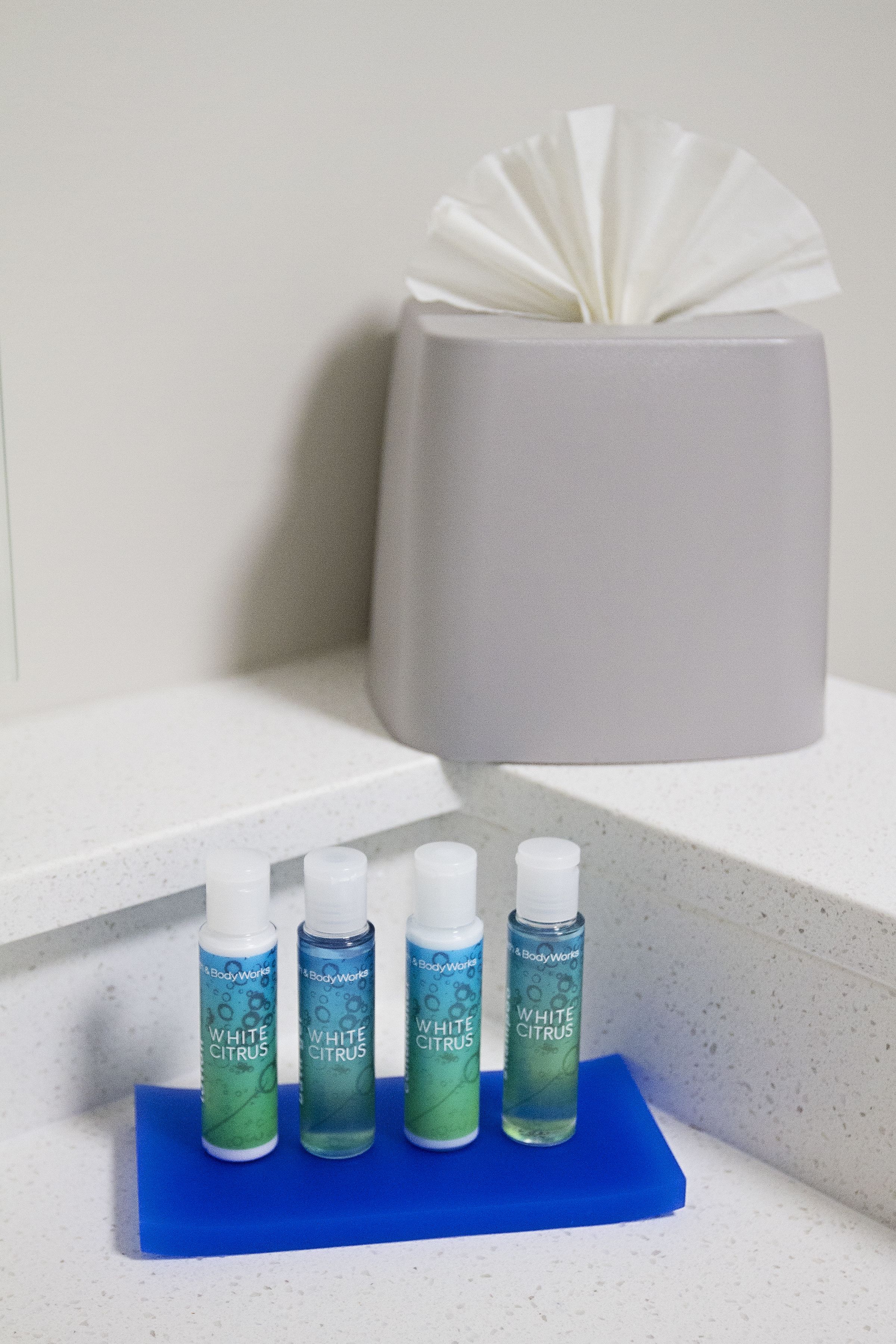 free toiletries, hair dryer, towels