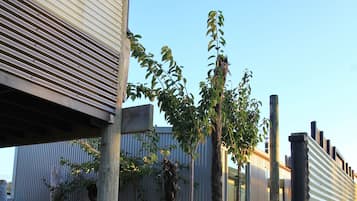 A wooden deck with a metal railing, surrounded by gravel and small plants.