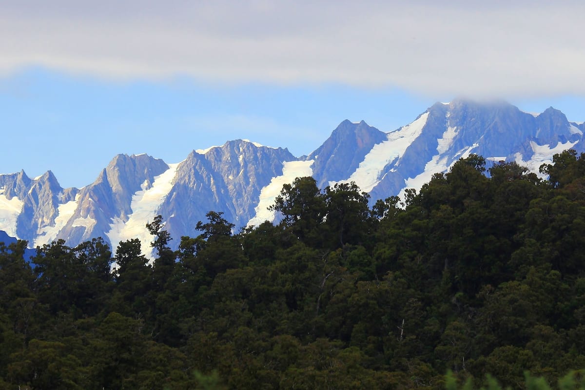 A mountain range with snow-capped peaks and a dense forest in the foreground.
