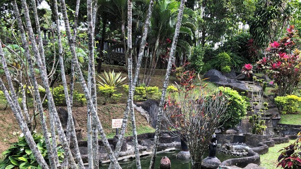 Taman