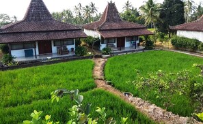 Garden - Kampoeng Joglo Ijen Banyuwangi (Banyuwangi)