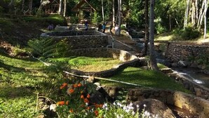 Um jardim com uma ponte de pedra, um pequeno lago e uma estrutura de bambu.