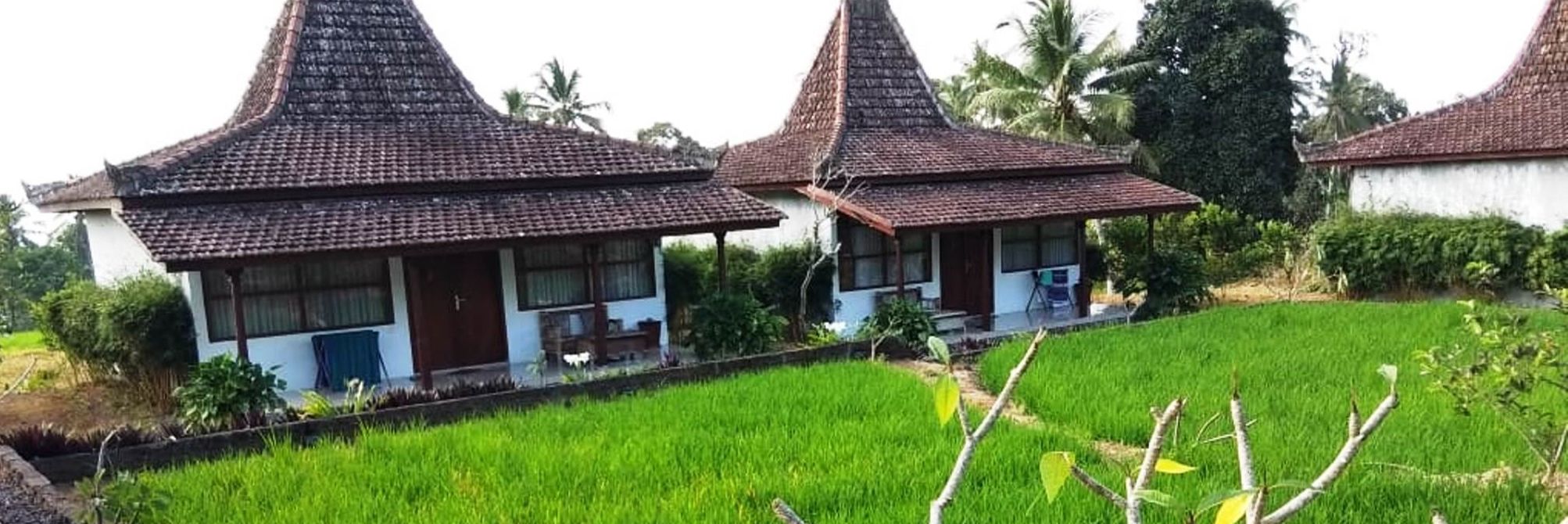 A traditional house with a steeply pitched roof, surrounded by lush green fields and palm trees.