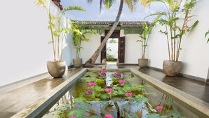 A serene indoor water garden with lotus flowers and potted plants. - Villa 46 (Hikkaduwa)