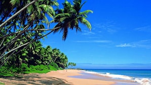 A beach with palm trees and a clear blue sky. - Villa 46 (Hikkaduwa)