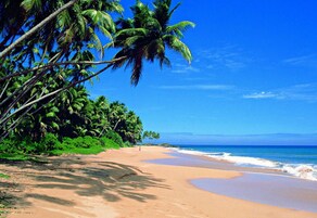 在海滩、白沙、沙滩椅、沙滩毛巾