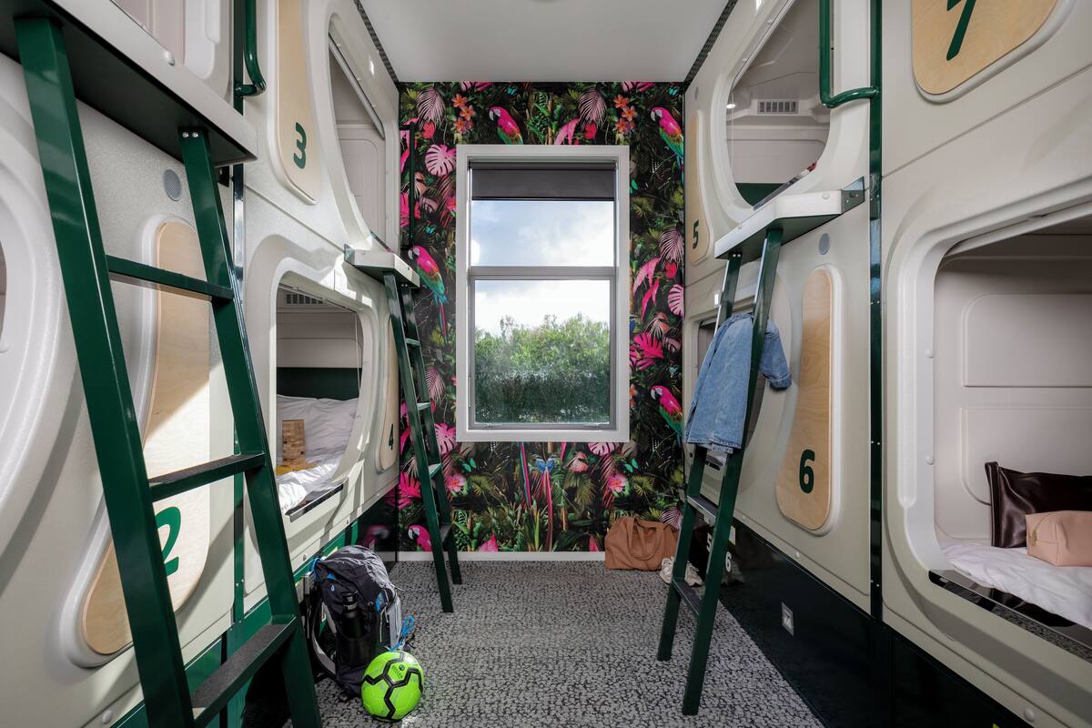Un dormitorio con literas, una ventana y un papel tapiz tropical.