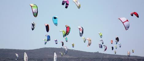 A group of people windsurfing and parasailing on a body of water with hills in the background.