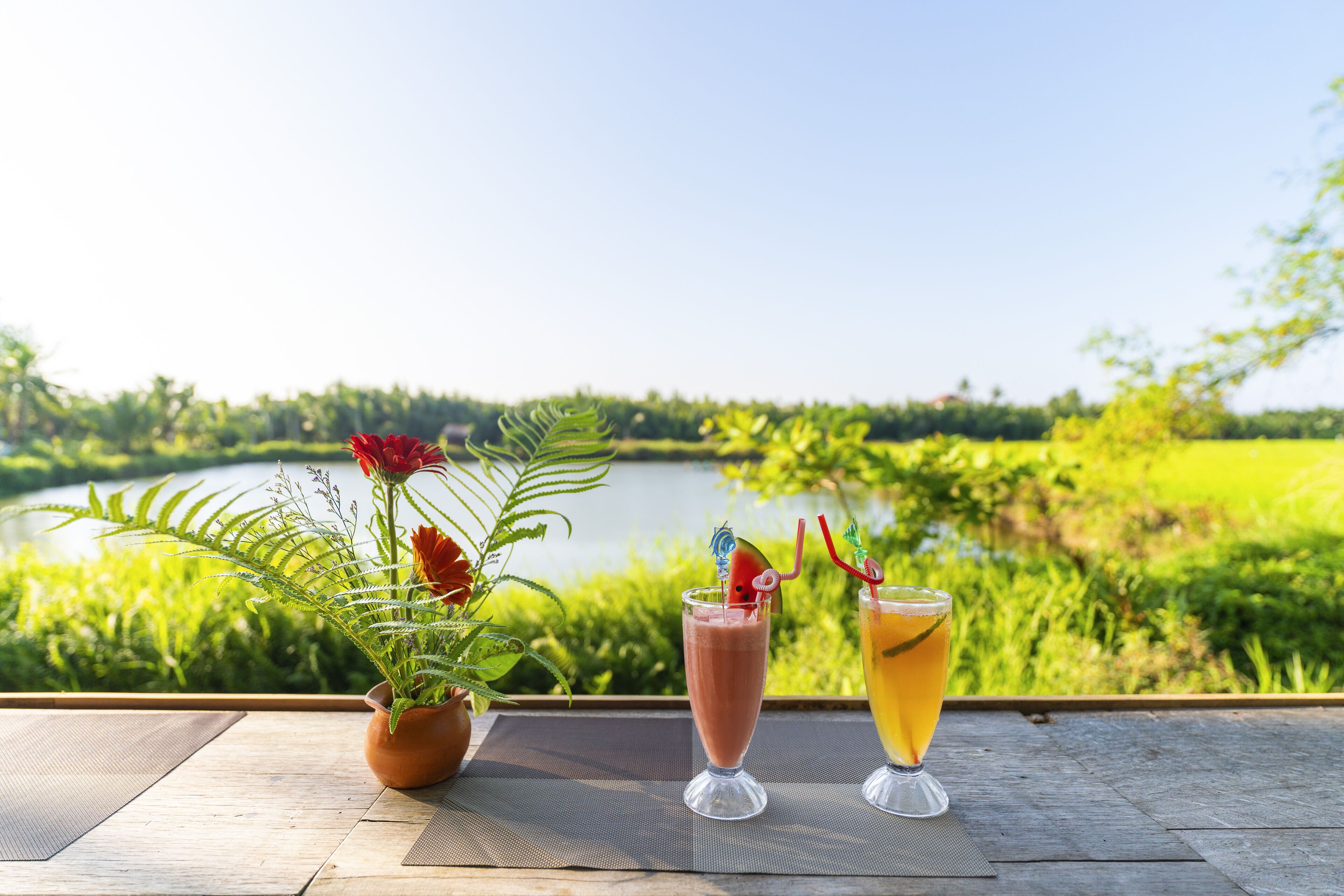 Photo - New Sunshine Homestay