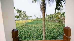 A view from a balcony with a wooden railing, overlooking a field of crops and palm trees. - New Sunshine Homestay (Da Nang)