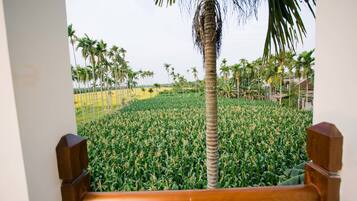 Deluxe Double Room, 1 King Bed, Pool View | Minibar, in-room safe, desk, blackout curtains