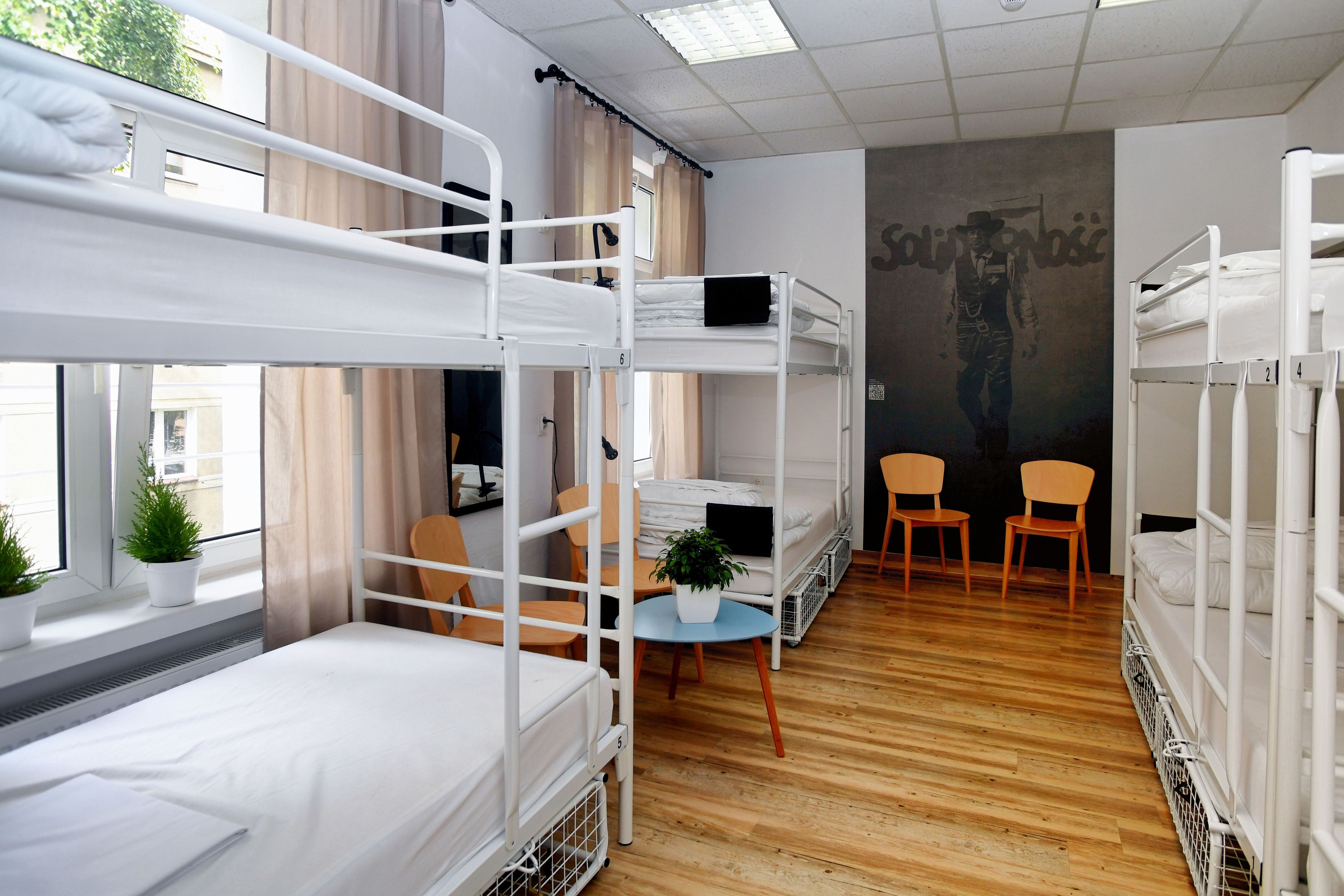 A dormitory room with bunk beds, a small table with chairs, a potted plant, and a window with curtains.