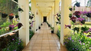 A corridor with potted plants and hanging baskets, leading to a doorway. - d'Emmerick Salib Putih Hotel Salatiga (Salatiga)