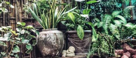 Jardines del alojamiento