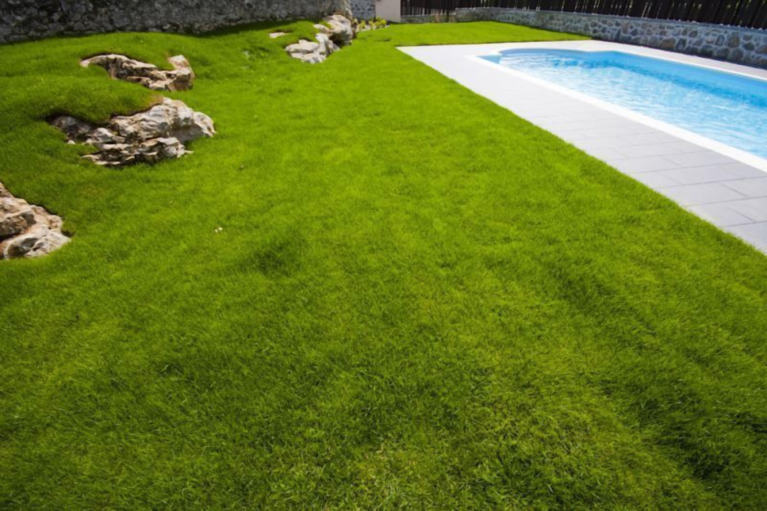 seasonal outdoor pool, open 10:00 am to 10:00 pm, pool loungers