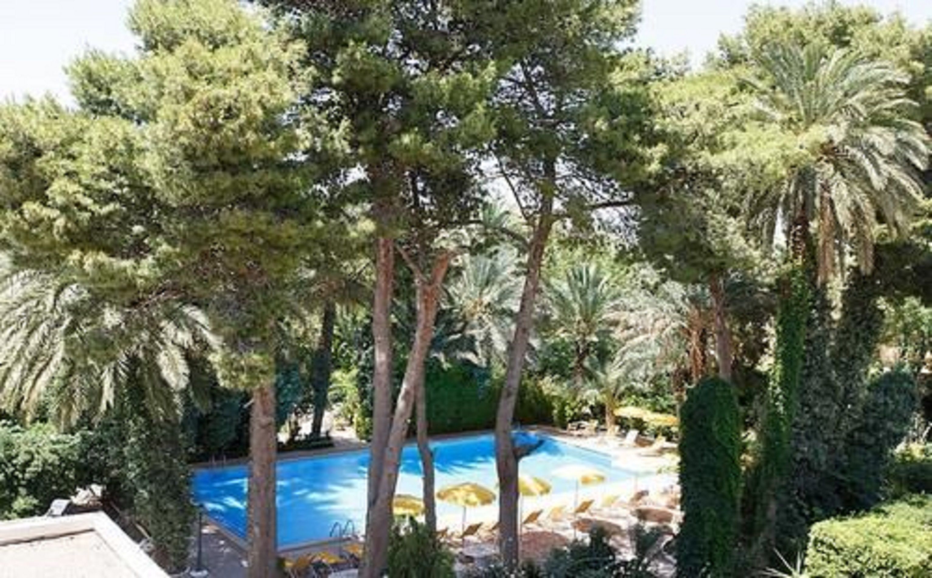 Piscine extérieure, parasols de plage, chaises longues