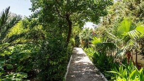 Een pad van stenen, omgeven door weelderige begroeiing en bomen.
