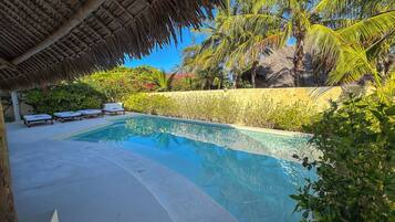 A swimming pool with lounge chairs, surrounded by lush greenery and a thatched roof structure.