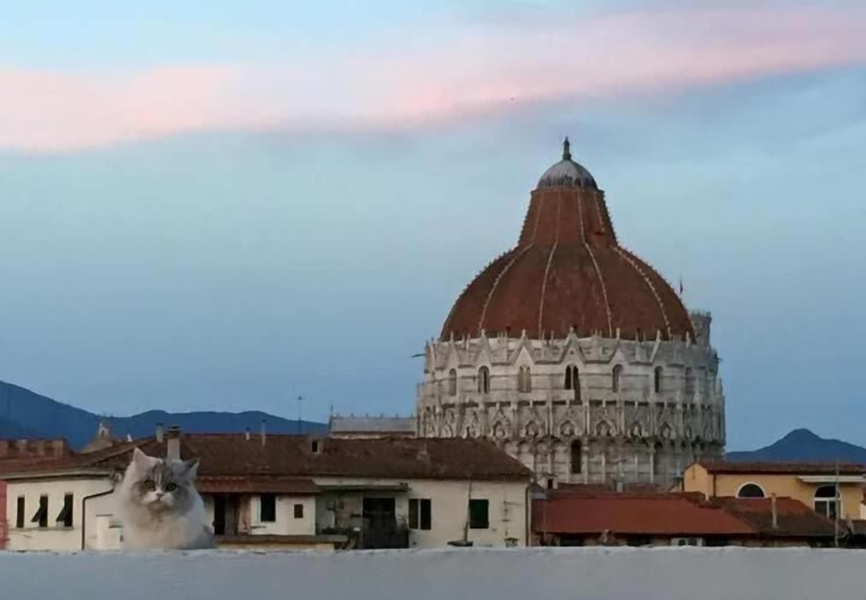 Foto - Alla Torre Con Vista