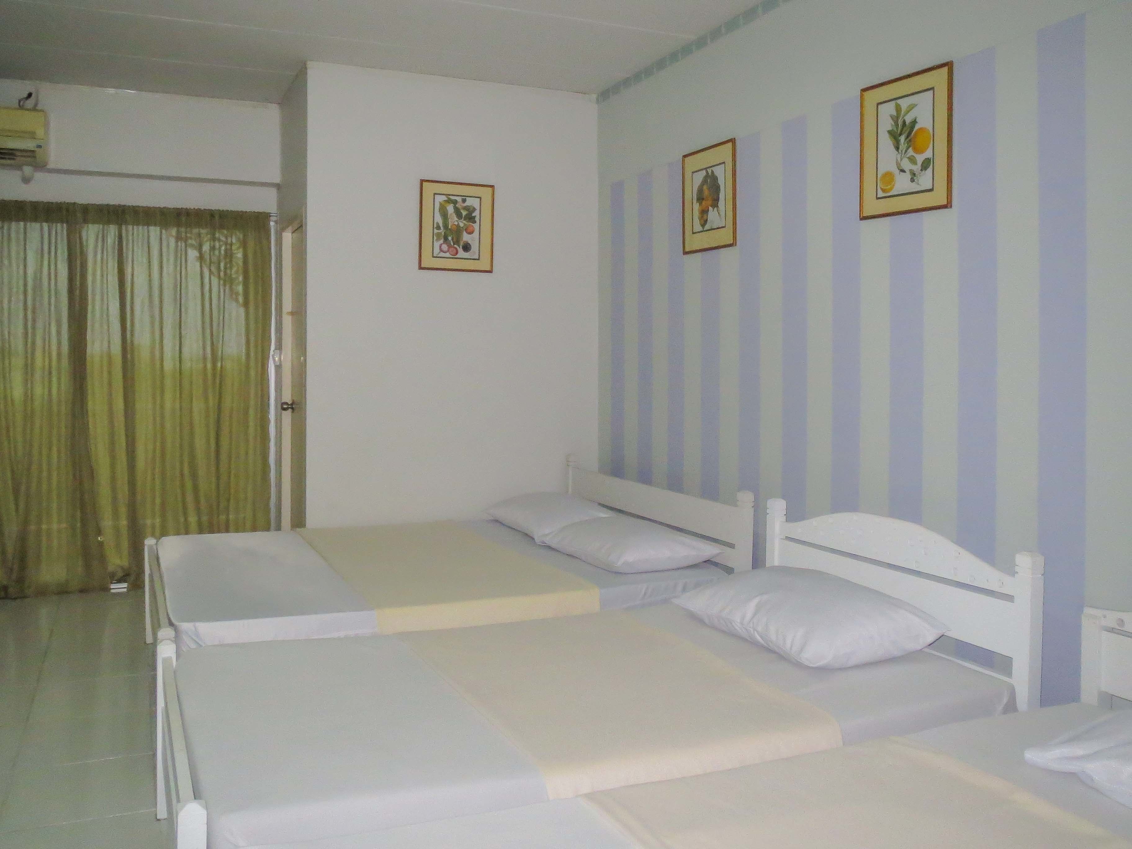 A room with two single beds, a window with curtains, and a wall with striped wallpaper and framed pictures.