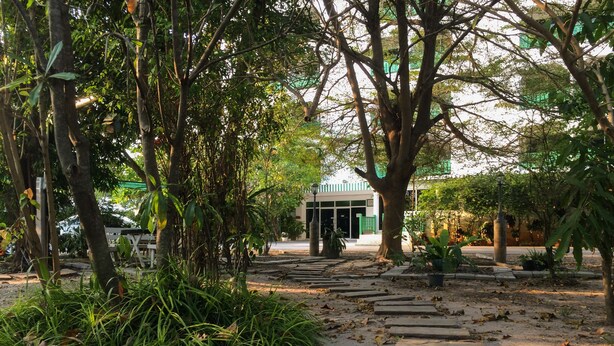 A pathway leading to a building with a green door, surrounded by trees and plants. - Chomdao Hotel (Rayong)