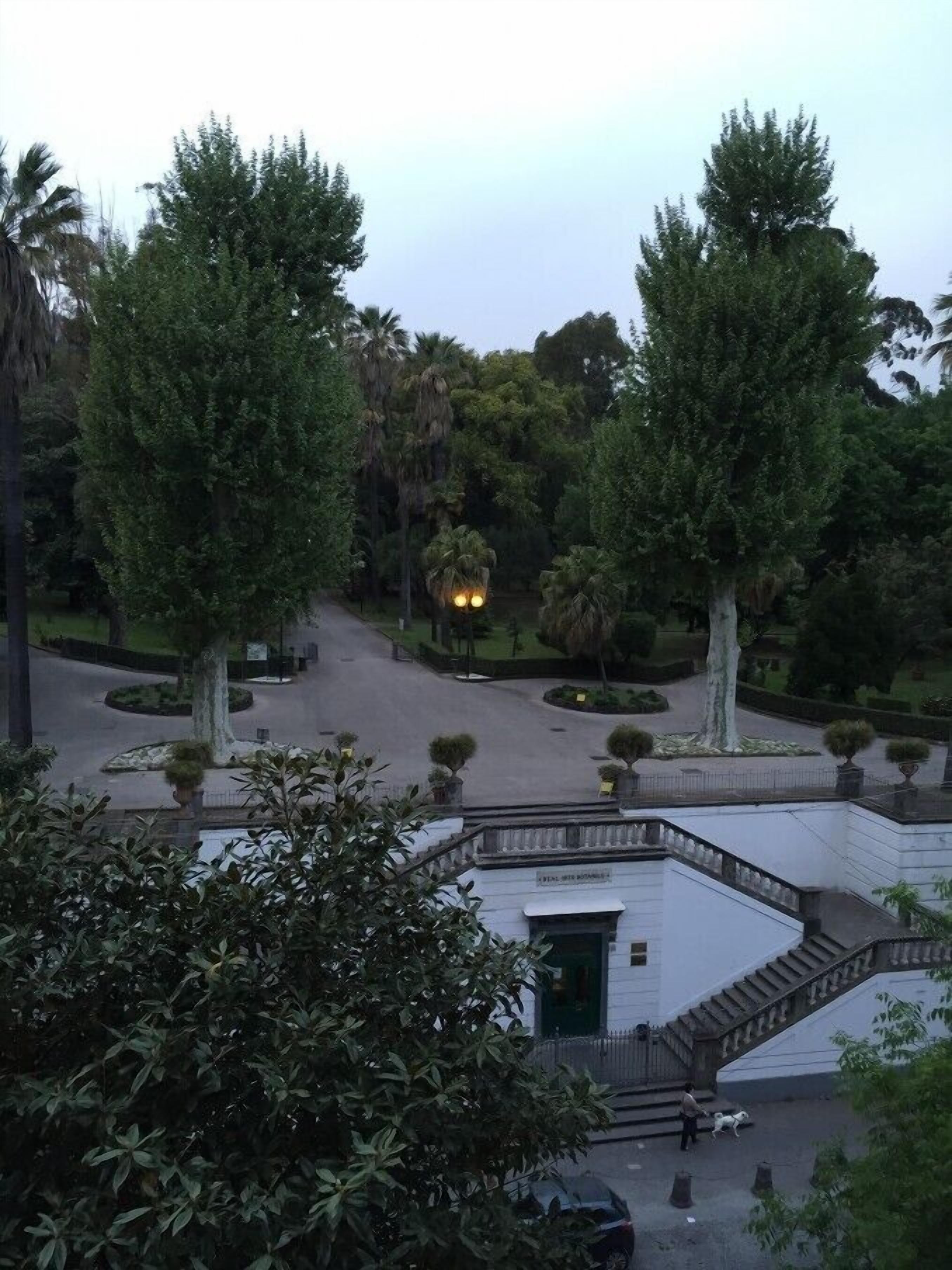 Photo - B&B Napolimilionaria Foria 242