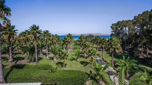 A tropical resort with palm trees, a clear blue sky, and a view of the sea. - Cavo D'oro Hotel (Kos)