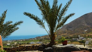Una terraza empedrada con una palmera, una planta en maceta y un banco de piedra.