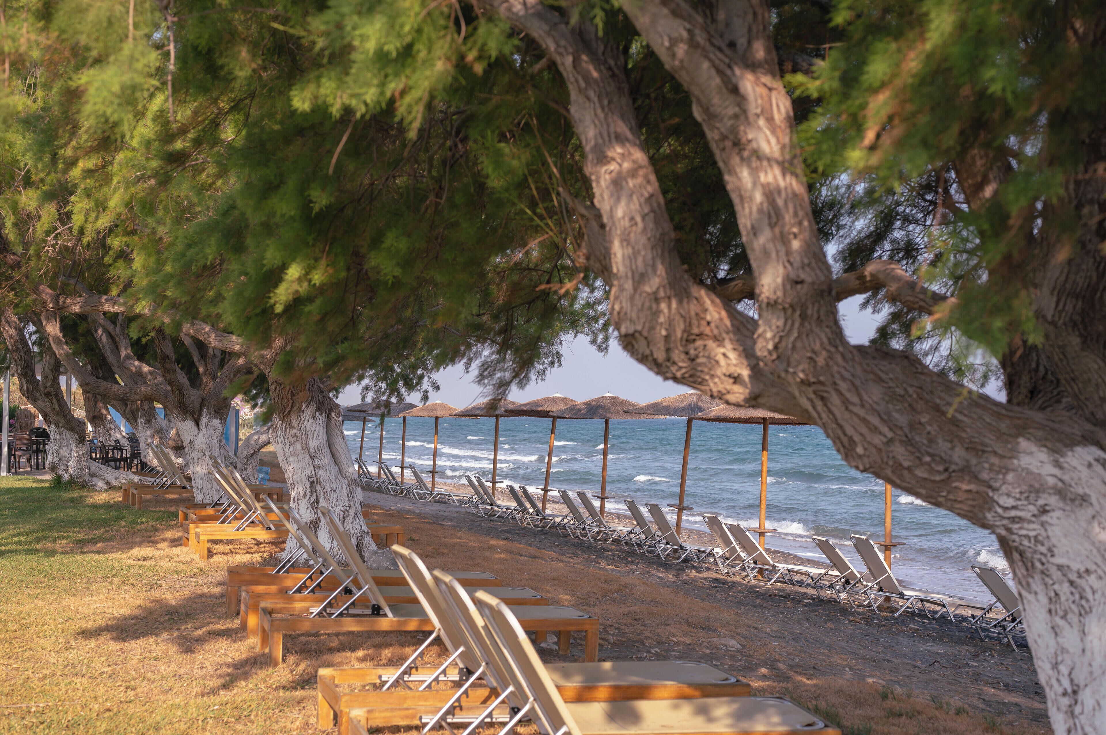 on the beach, sun-loungers, beach umbrellas, beach bar