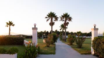 Un camino bordeado por palmeras y plantas en flor que conduce a un edificio con fachada blanca y luminarias esféricas en la parte superior.