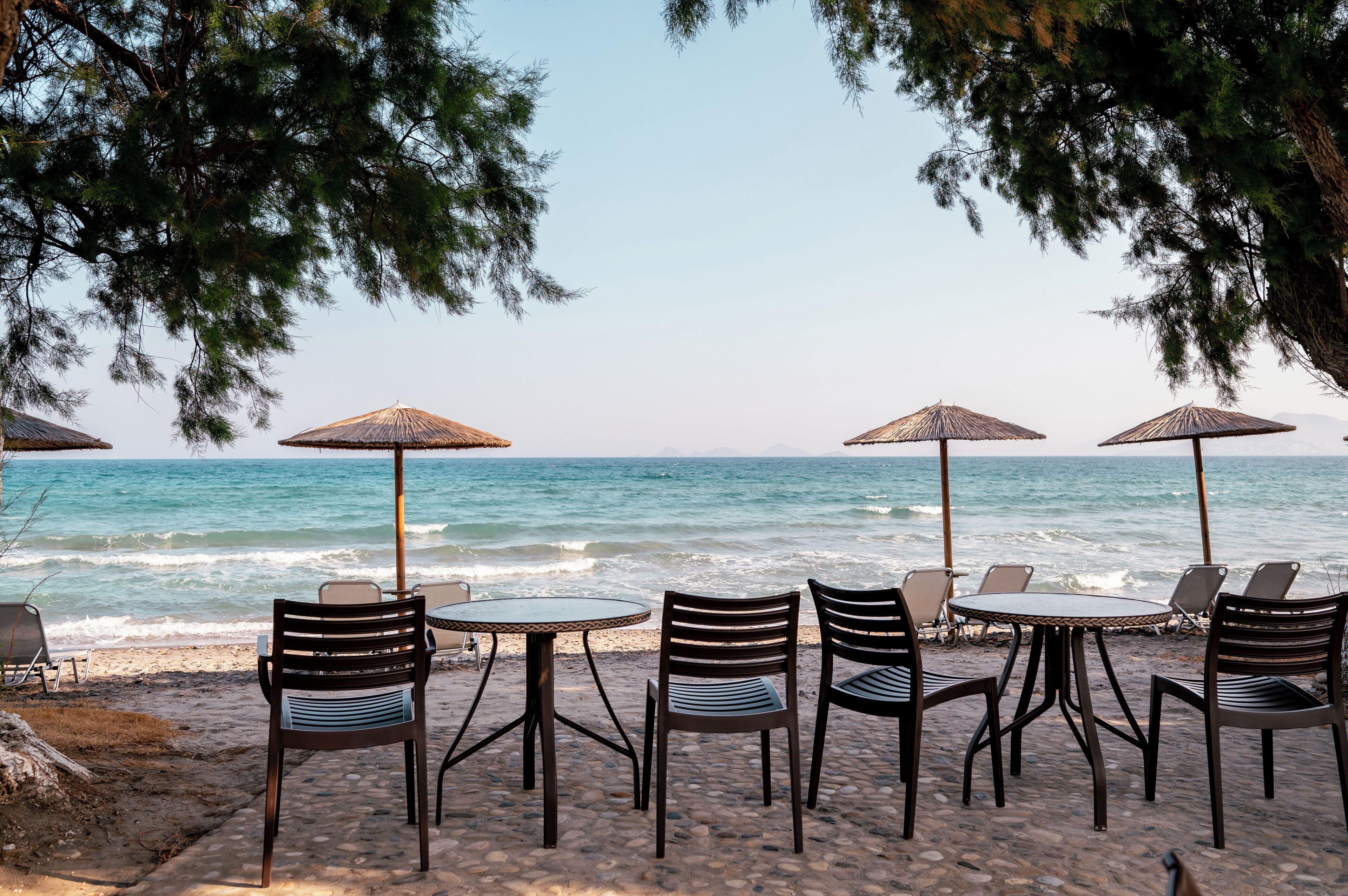 Plage, chaises longues, parasols, bar de plage