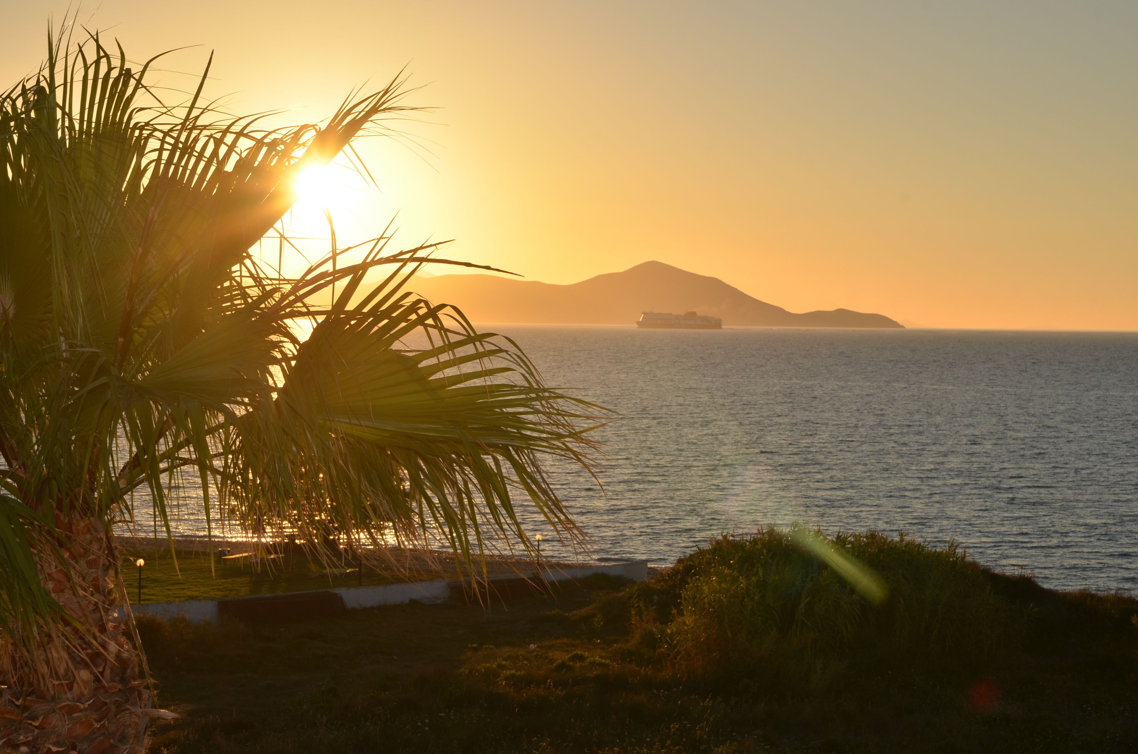 A sunset view over the ocean with a ship in the distance and palm trees in the foreground.