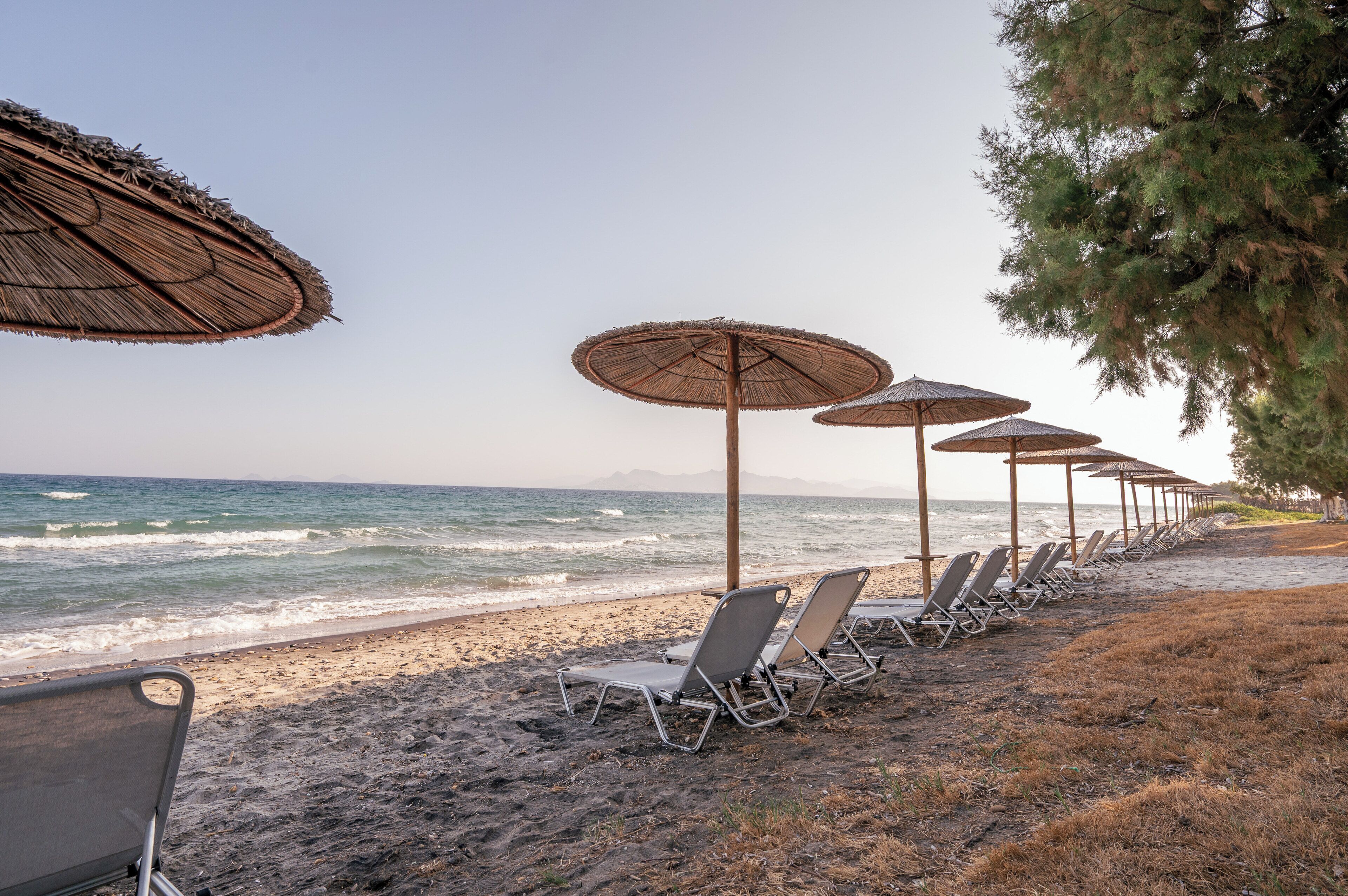 A beach with rows of sun loungers and thatched umbrellas along the shoreline.