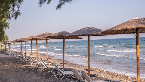 Une plage bordée de rangées de chaises longues et d’ombrelles en chaume.