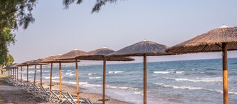 Costa Angela