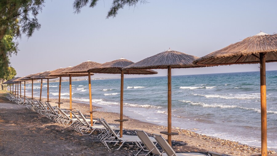 Costa Angela