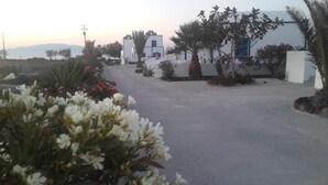 A residential area with white buildings, a paved road, and various plants and trees. - Paradisos Oia (Santorini)