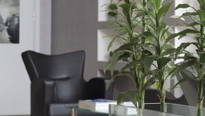 Un intérieur moderne avec une table en verre, une chaise noire et une plante.