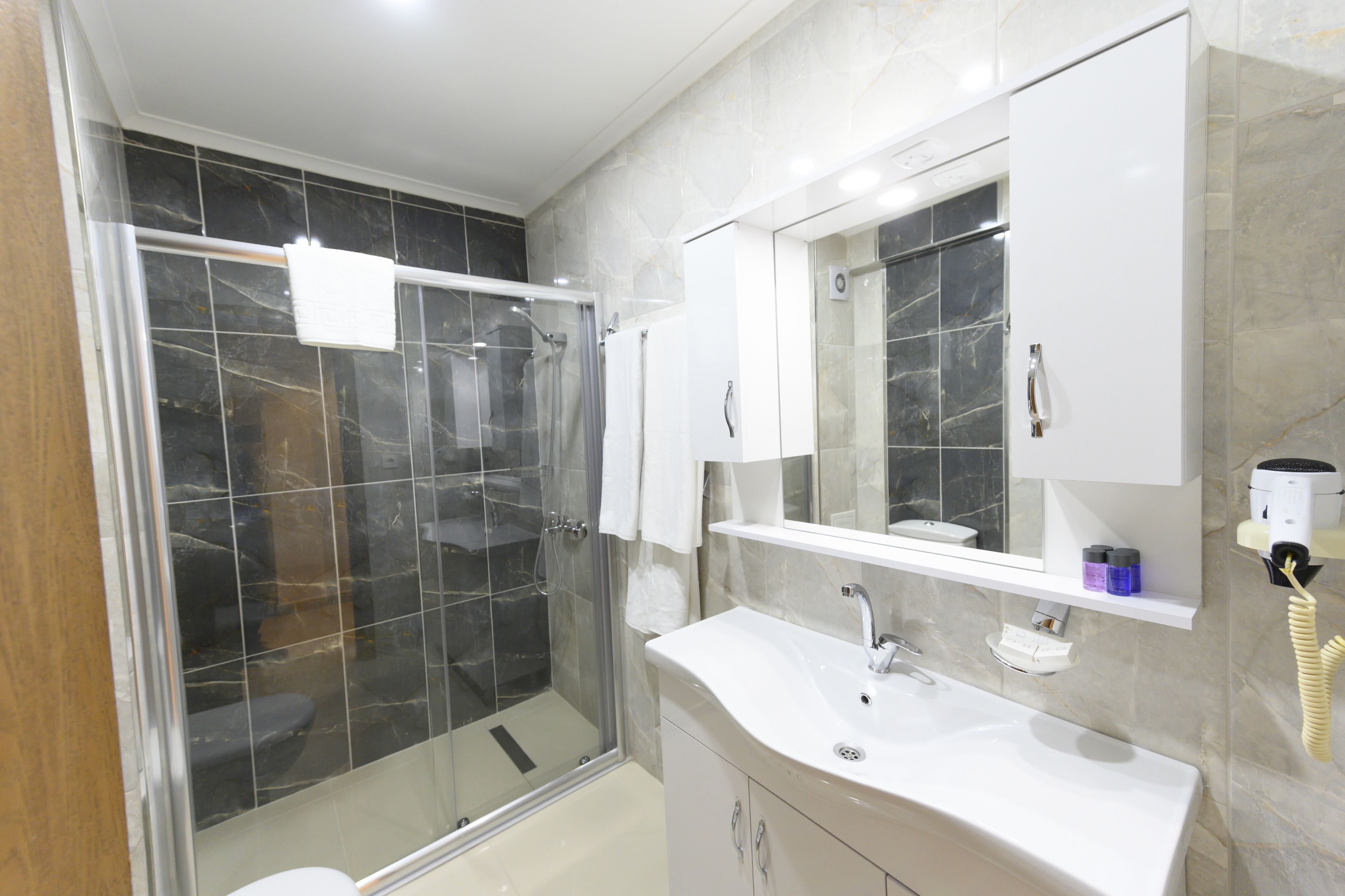 A modern bathroom with a glass shower enclosure, a white sink, and a large mirror.