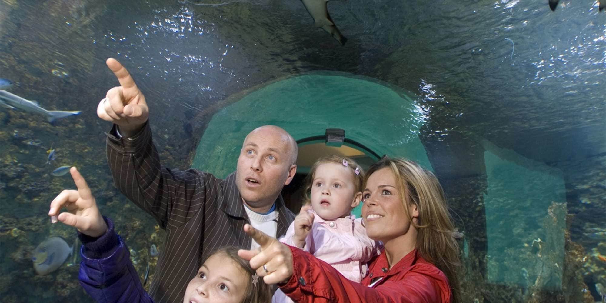 Foto - Prize by Radisson, Solheimsviken Bergen