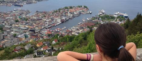 Vista panorámica de una ciudad costera con un puerto, que incluye diversos edificios, un barco grande y una persona contemplando la escena.