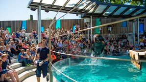 A swimming pool with a crowd of people watching an event. - Prize by Radisson, Solheimsviken Bergen (Bergen)