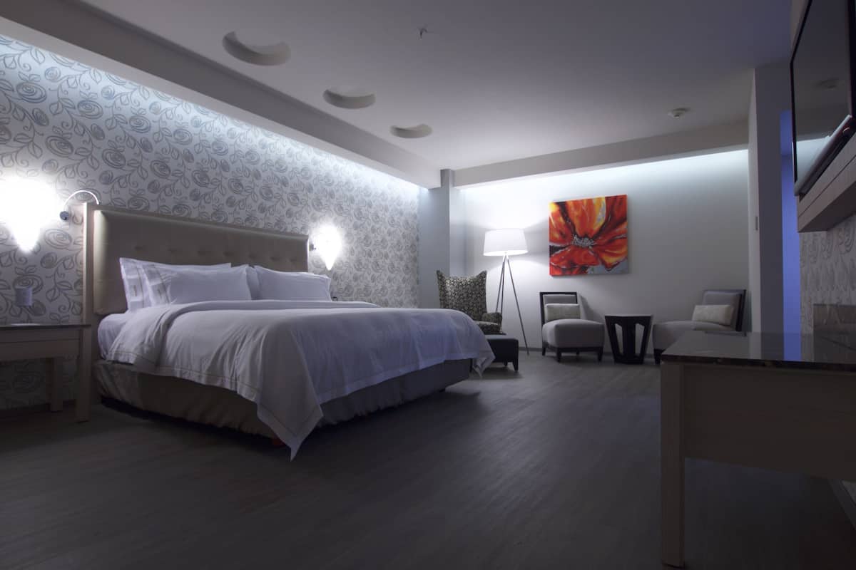 Suite, 1 Katil Raja (King) | Peti besi dalam bilik, meja, kalis bunyi, seterika/papan seterika 