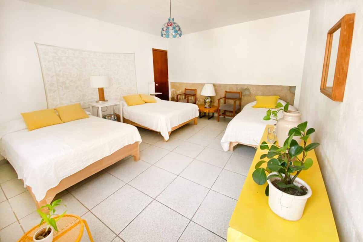 Una habitación de hotel con dos camas, una mesita, sillas, una planta en maceta y un espejo.
