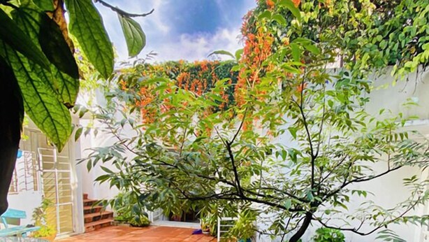 A courtyard with a tiled floor, a small tree, and various potted plants. - Casa Canario La Americana (Guadalajara)