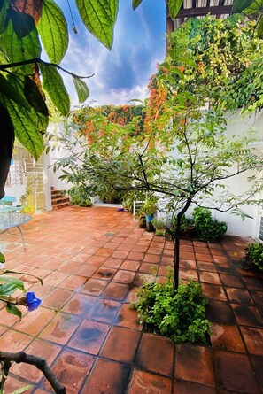 A courtyard with a tiled floor, a small tree, and various potted plants. - Casa Canario La Americana (Guadalajara)