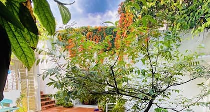 Casa Canario La Americana