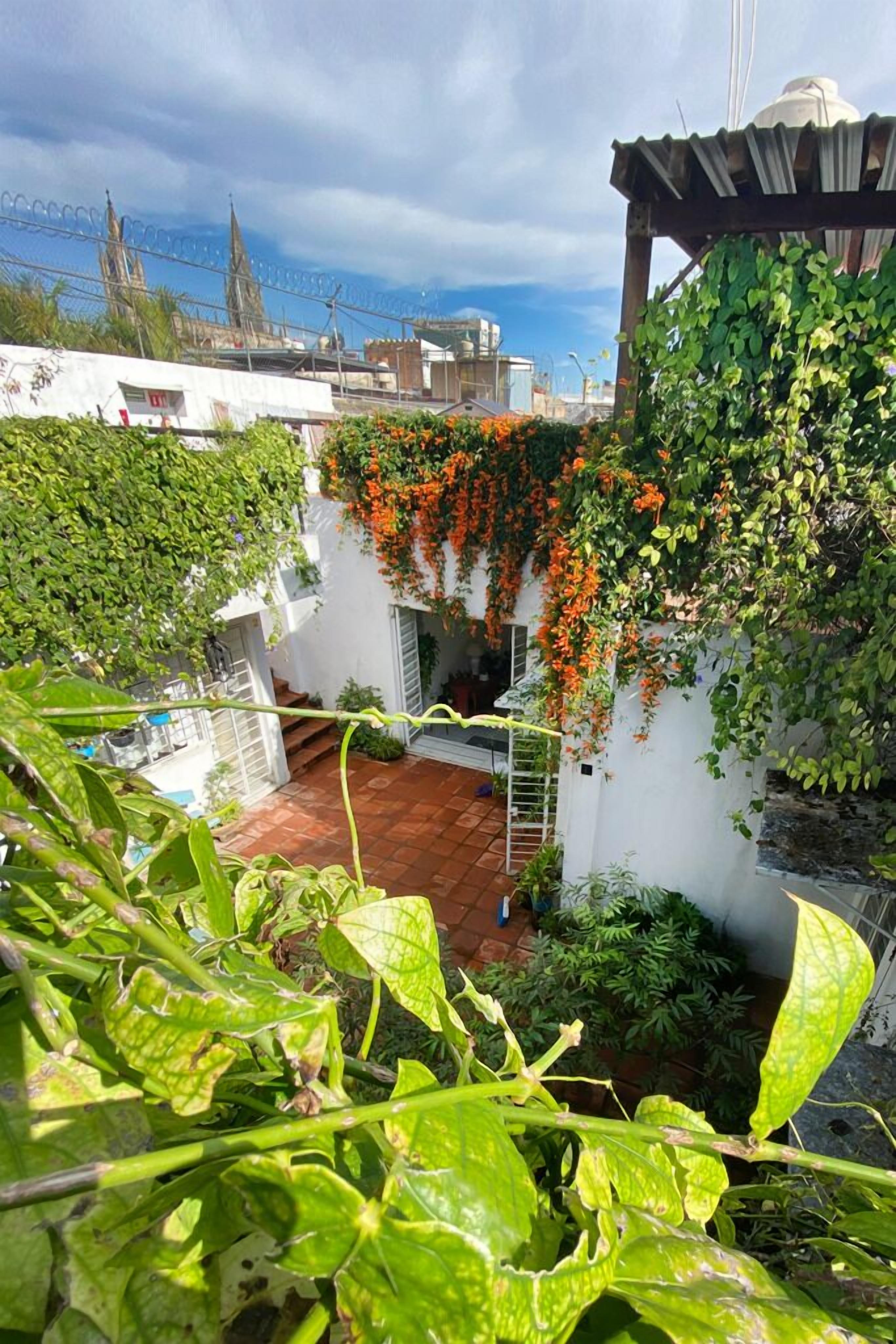 Vista desde la propiedad